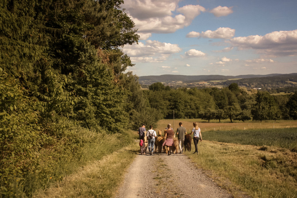 Eine Familie führt Alpakas auf einem Waldweg in Wenighösbach bei einer geführten Wanderung und grandioser Aussicht.
