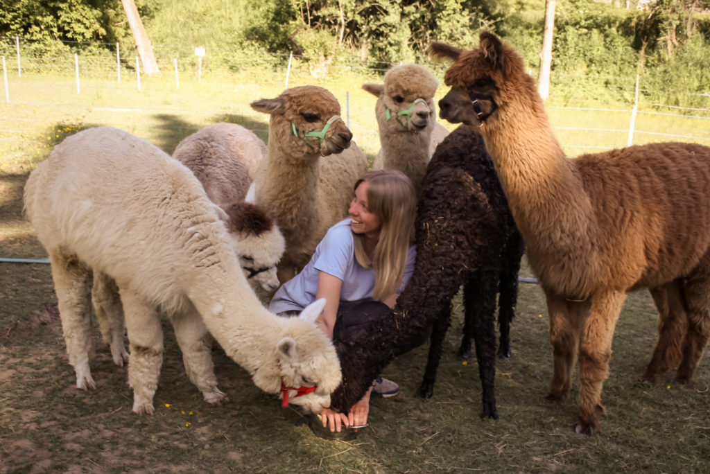 Nele, die Besitzerin, und ihre Alpakas auf einem Gruppenfoto.